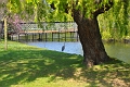 23 04_Regents Park_2558